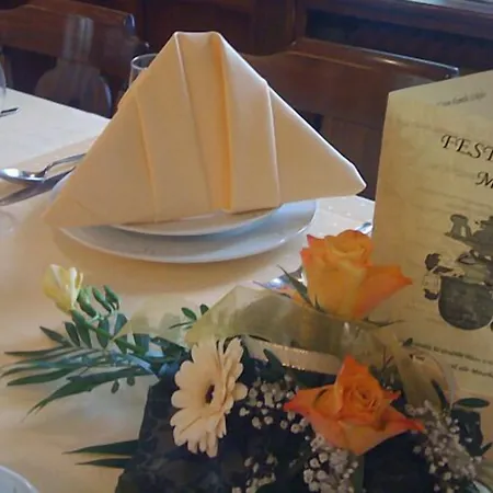 Gæstehus Gasthof Lowen 3*