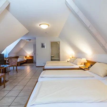 Loewen Garni 3* Oberrimsingen
